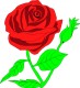 Fiori