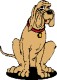 Animali