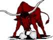 Toros
